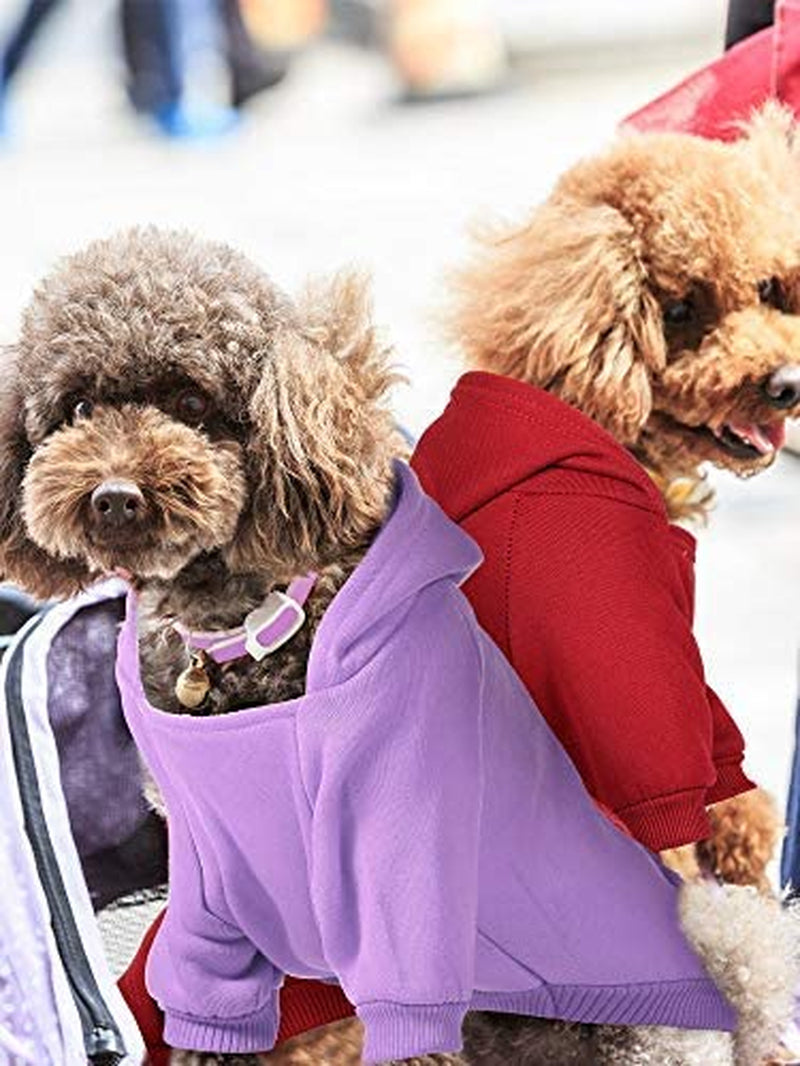 Mini Look Invernales - Pack de 4 Suéteres y Hoodies para Perros Pequeños