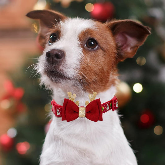 Christmas Paws Collar